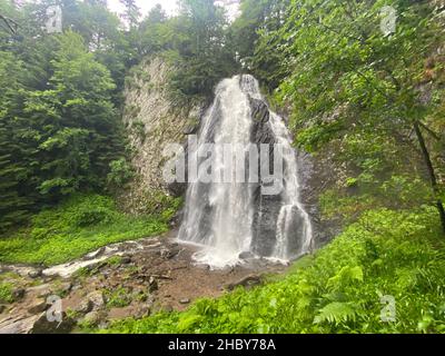 Queureuilh Wasserfall, Le Mont-Dore, Puy-de-Dome, Auvergne, Frankreich Stockfoto