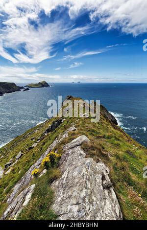 Klippen mit Blick auf die Skelig-Inseln am Horizont, Kerry Cliffs, Skelig Ring Panoramastraße, Portmagee, Iveragh Peninsula, Kerry, Irland Stockfoto