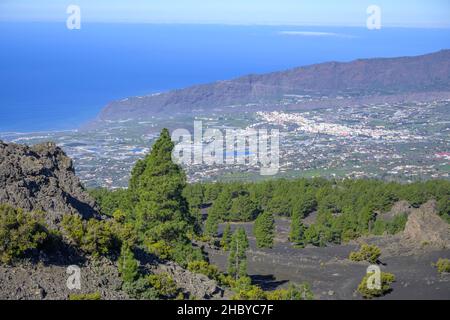 Blick von Mirador del Llano del Jable in Richtung Los Llanos, zerstört durch den Ausbruch von 2021, El Paso, La Palma, Spanien Stockfoto