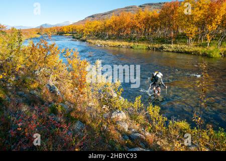 Männlicher Wanderer waten im Stora Sjofallet Nationalpark in Sweidsch-Lappland. Schöner sonniger Herbsttag in arktischer Wildnis mit lebhaftem Herbst Stockfoto