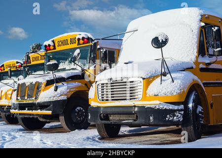 Schneebedeckte Schulbusse, die auf einem Schulparkplatz stehen. Stockfoto