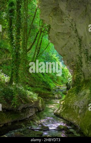 Orfento River Canyon, Caramanico Terme, Provinz Pescara, Italien Stockfoto