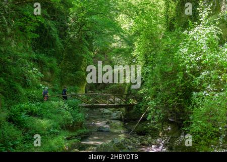 Brücke des Wanderweges durch die Schlucht des Flusses Orfento, Caramanico Terme, Provinz Pescara, Italien Stockfoto