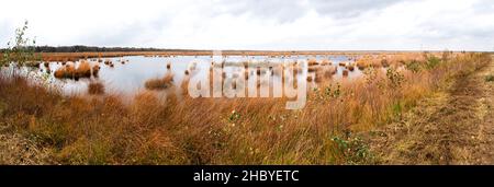 Panorama Stapeler Moor, vernähtes und renaturiertes Gebiet im Herbst, Stapeler Moor, Niedersachsen, Deutschland Stockfoto