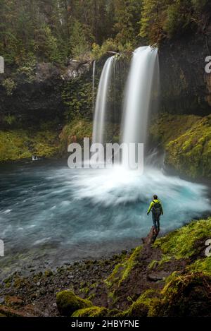 Junger Mann, der auf einem Stein steht, Wasserfall in dichter Vegetation, Koosah Falls, Oregon, USA Stockfoto