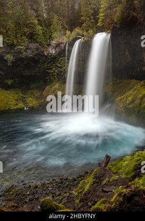 Wasserfall in der dichten Vegetation, Koosah fällt, Oregon, USA Stockfoto