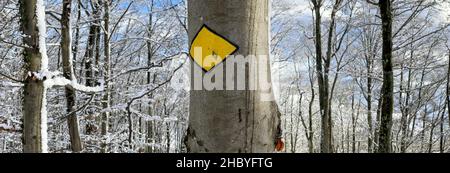 Wanderweg Panorama im verschneiten Wald, Wisenberg, Wisen, Solothurn, Schweiz Stockfoto