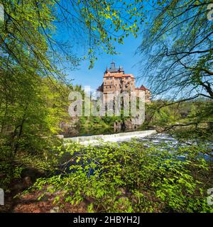 Burg Kriebstein bei Mittweida im Frühjahr von Buchen umrahmt, Fluss Zschopau mit Wehr, Kriebstein, Sachsen, Deutschland Stockfoto