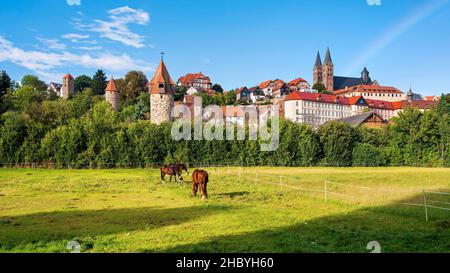 Blick über die Pferdekoppel in die Altstadt mit Wehrtürmen, Fachwerkhäusern, Dom und Ursulinenkloster, Rainbow, Fritzlar, Hessen, Deutschland Stockfoto