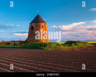 Ehemalige Turmwindmühle in einem Feld im Abendlicht, Glina, Sachsen-Anhalt, Deutschland Stockfoto