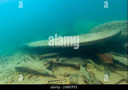 Schiffsruder von einem alten Holzdampfer im Lake Superior Stockfoto