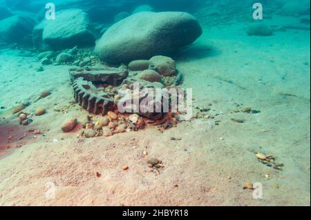 Schiffswrack mechanische Überreste eines alten Holzdampfers im Lake Superior Stockfoto