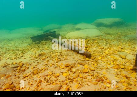 Schiffswrack Überreste eines alten Holzdampfers im Lake Superior Stockfoto