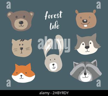 Niedliche Tierköpfe. Cartoon Wald Wildtiere Sammlung, Fuchs, Wolf, Bär, Biber, Waschbär, Kaninchen und Wildkatze. Vektorgrafik. Stock Vektor