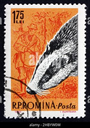 RUMÄNIEN - UM 1961: Eine in Rumänien gedruckte Briefmarke zeigt Badger und Hunter, um 1961 Stockfoto