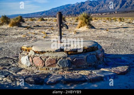 Wilde Esel stehen vor einem Haus in Beatty Nevada auf der Suche nach einem Handout. Stockfoto