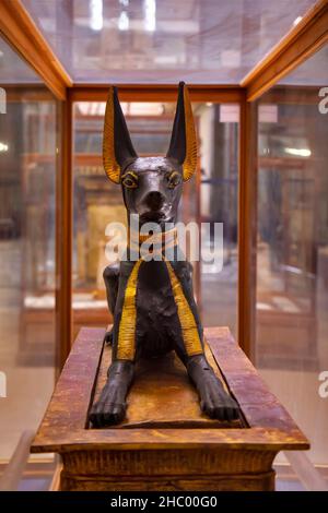 Statue von Anubis in Kairo Museum, Ägypten Stockfoto