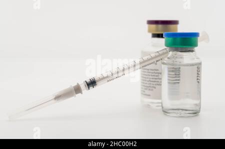 Spritze und Fläschchen mit Impfstoff, Konzeptbild für die Impfung Stockfoto