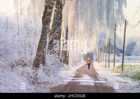 Münsterland, NRW, Deutschland. 22nd Dez 2021. Ein Spaziergänger genießt die frostige Landschaft. Das plötzliche kältere Wetter hat eine dicke Schicht anhaltendem Frost auf Bäumen und Wiesen hervorgebracht, die das Münsterland bei Dülmen in ein malerisches Winterwunderland mit herrlichem Sonnenschein verwandelt. Der Kälteeinbruch soll bis morgen fortgesetzt werden, wenn milderes Wetter zurückkehrt. Kredit: Imageplotter/Alamy Live Nachrichten Stockfoto