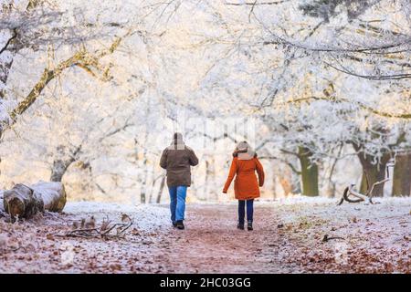 Münsterland, NRW, Deutschland. 22nd Dez 2021. Ein Paar geht durch die frostige Landschaft. Das plötzliche kältere Wetter hat eine dicke Schicht anhaltendem Frost auf Bäumen und Wiesen hervorgebracht, die das Münsterland bei Dülmen in ein malerisches Winterwunderland mit herrlichem Sonnenschein verwandelt. Der Kälteeinbruch soll bis morgen fortgesetzt werden, wenn milderes Wetter zurückkehrt. Kredit: Imageplotter/Alamy Live Nachrichten Stockfoto