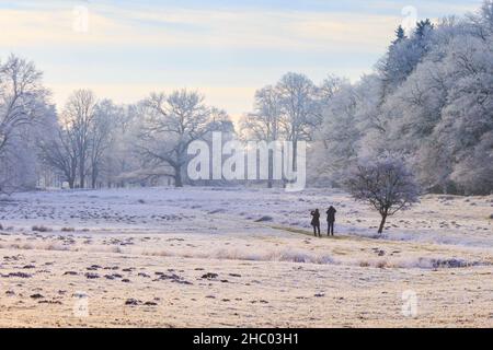 Münsterland, NRW, Deutschland. 22nd Dez 2021. Wanderer in der frostigen Landschaft. Das plötzliche kältere Wetter hat eine dicke Schicht anhaltendem Frost auf Bäumen und Wiesen hervorgebracht, die das Münsterland bei Dülmen in ein malerisches Winterwunderland mit herrlichem Sonnenschein verwandelt. Der Kälteeinbruch soll bis morgen fortgesetzt werden, wenn milderes Wetter zurückkehrt. Kredit: Imageplotter/Alamy Live Nachrichten Stockfoto