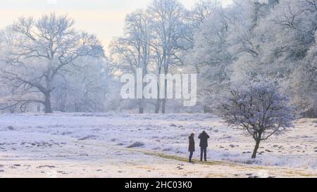 Münsterland, NRW, Deutschland. 22nd Dez 2021. Wanderer in der frostigen Landschaft. Das plötzliche kältere Wetter hat eine dicke Schicht anhaltendem Frost auf Bäumen und Wiesen hervorgebracht, die das Münsterland bei Dülmen in ein malerisches Winterwunderland mit herrlichem Sonnenschein verwandelt. Der Kälteeinbruch soll bis morgen fortgesetzt werden, wenn milderes Wetter zurückkehrt. Kredit: Imageplotter/Alamy Live Nachrichten Stockfoto