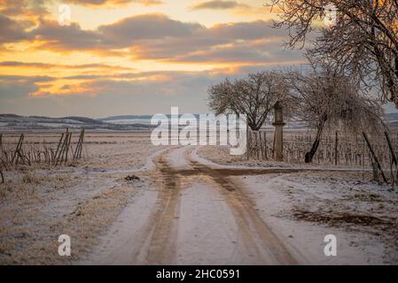 Verschneite kurvige Strecke mit zwei Spuren durch die Weinberge bei Sonnenuntergang. Weiße Weinberge mit bewölktem orangefarbenem Himmel. Beruhigende Abendstimmung im Winter in einem leicht Stockfoto