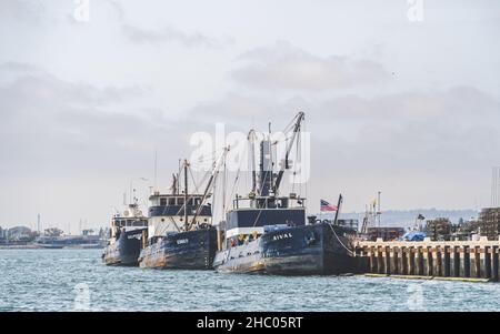 Kommerzielle Fischertrawler dockten am schönen Sommertag im Hafen von San Diego an Stockfoto