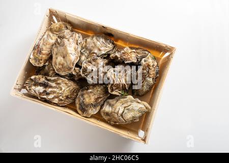 Zwölf Austern in einer hölzernen Verkaufsbox frisch vom Fischmarkt auf weißem Hintergrund, Hochwinkelansicht von oben, ausgewählter Fokus Stockfoto