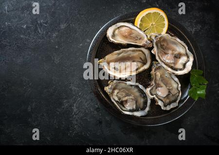 Frische rohe Austern auf einem Teller serviert mit Zitronenscheibe und Petersilie-Garnitur, dunkelgrauem Schieferhintergrund, Kopierraum, Hochwinkelansicht von oben Stockfoto