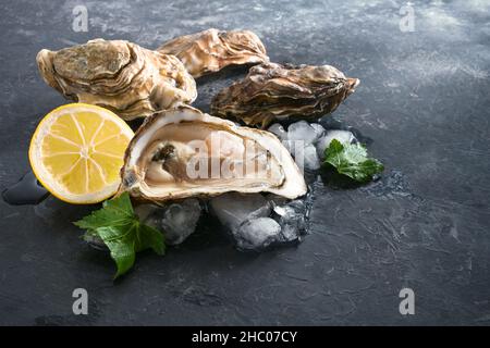 Rohe pazifische Austern auf Eis mit Zitronenscheibe und Petersilie garnieren auf einem dunkelgrauen Schieferhintergrund, Kopierraum, ausgewählter Fokus, enge Schärfentiefe Stockfoto