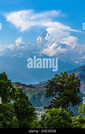 Machhapuchare oder Fischschwanz im Annapurna Himal, von Sarangkot Hill, Pokhara, Nepal. Stockfoto