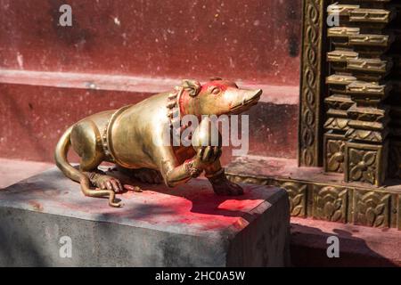 Eine Messingstatue einer Maus oder Spitzmaus am Ganesh Mandir Tempel im Binhaya Basini Tempelkomplex in Pokhara, Nepal. Die Maus ist das Vahara oder Veh Stockfoto