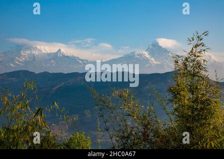 Blick am frühen Morgen auf Annapurna South, Hiunchuli, Machhapuchare & Annapurna III in Wolken. Pokhara, Nepal. Stockfoto
