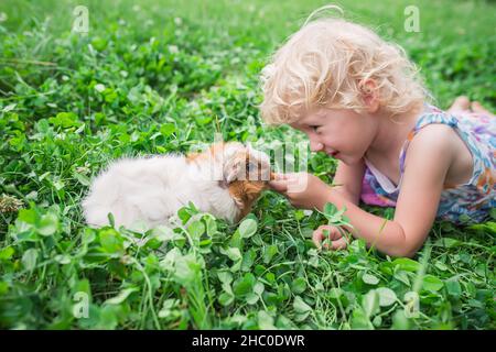 Das kleine Mädchen spielt im Sommer auf einem Kleeblatt mit einem Meerschweinchen. Gesunde Nahrung für Tiere, Nager. Spaziergänge mit Haustieren in der Natur. Stockfoto