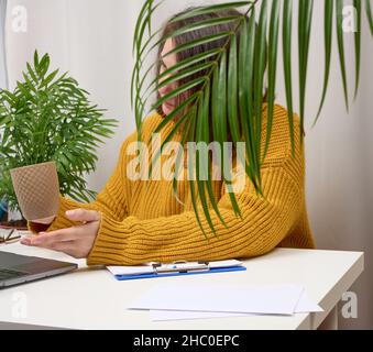 Eine 40-jährige Frau mit einem orangefarbenen Pullover sitzt am Tisch und hält eine Tasse Kaffee in der Hand. Sie nutzt einen Laptop, Telearbeit, Freiberufung Stockfoto