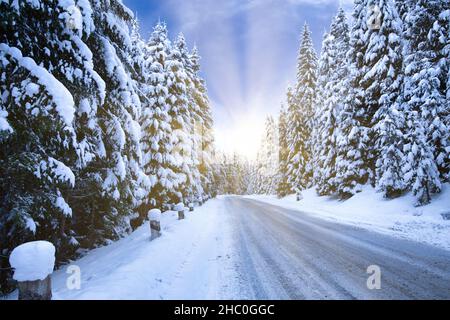 Verschneite Straße durch den Weihnachtsbaum, um der hellen Sonne zu begegnen Stockfoto