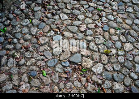 Steinboden im Garten Stockfoto