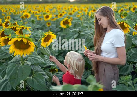 Mutter und Sohn schauen auf blühende Sonnenblumen auf dem Feld. Studium der Natur. Sommer außerhalb der Stadt. Stockfoto