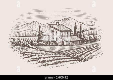 Ländliche Landschaft mit Bauernhaus und Weinberg. Vektor-Illustration Landschaft Natur mit agrarischen Feldern Stock Vektor