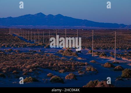 Strommasten und -Kabel, Hochspannung, Reihen sich in der Landschaft der Sonora-Wüste im Puerto Peñasco-Tal zum Horizont hin. Dorn und Sand auf einer Feldstraße bei Sonnenuntergang, CFE, Golf von Kalifornien, Golf von Santa Clara. © (© Foto: Luis Gutierrez / NortePhoto.com) postes y cables de energia electrica, alto voltaje, fila hacia el horizonte entre paisaje del desierto de Sonora en el valle de Puerto Peñasco. matorral espinozo y Arena en un camino de Terraceria al atardecer, CFE, Golfo de California, Golfo de Santa Clara.© (© Foto: Luis Gutierrez/NortePhoto.com) Stockfoto