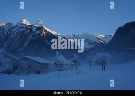 Verschneite Landschaft am Nachmittag mit herabfallendem Nebel. Die Bäume sind mit dicken Schnee- und Frostschichten bedeckt. Stockfoto