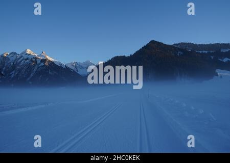 An einem Wintertag nach Sonnenuntergang steigt Nebel über der Langlaufloipe. Stockfoto