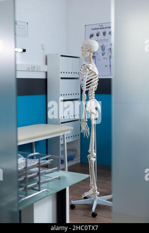 Seitenansicht der menschlichen Skelettstruktur, die in einem leeren medizinischen Büro steht, in dem niemand für die osteopathische Untersuchung des Patienten bereit ist. Anatomisches Körpermodell, das als Krankenhausausstattung verwendet wird. Medizinkonzept Stockfoto