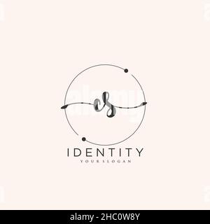 CS Handschrift Logo Vektor Kunst der ersten Unterschrift, Hochzeit, Mode, jewerly, Boutique, Blumen und botanische mit kreativer Vorlage für jedes Unternehmen Stock Vektor