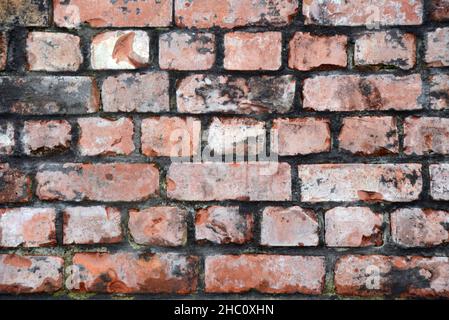 Alte Ziegelsteine in einem historischen Gebäude schaffen einen rustikalen strukturierten Hintergrund Stockfoto