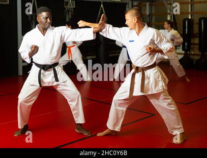 Männer, die während des Karate-Trainings Sparring machen Stockfoto