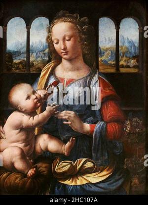 Madonna von der Nelke von Leonardo Da Vinci Stockfoto