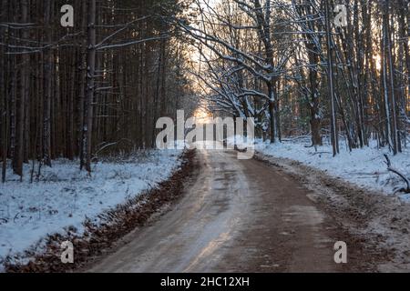 Halls Lake Michigan Wandern Stockfoto