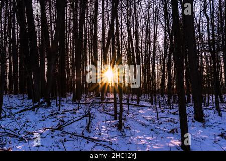 Halls Lake Michigan Wandern Stockfoto